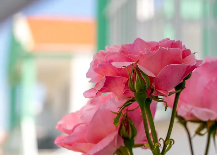Menta Ξενοδοχείο με διαμερίσματα Σκάλα Ποταμιάς